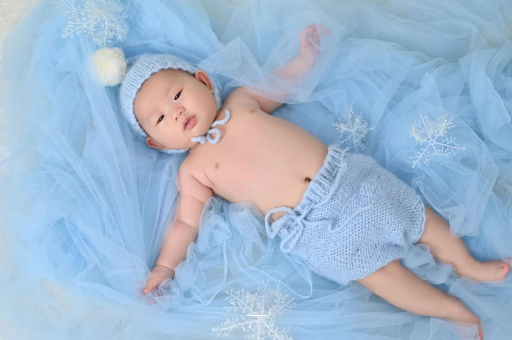 平湖宝宝树怎么样